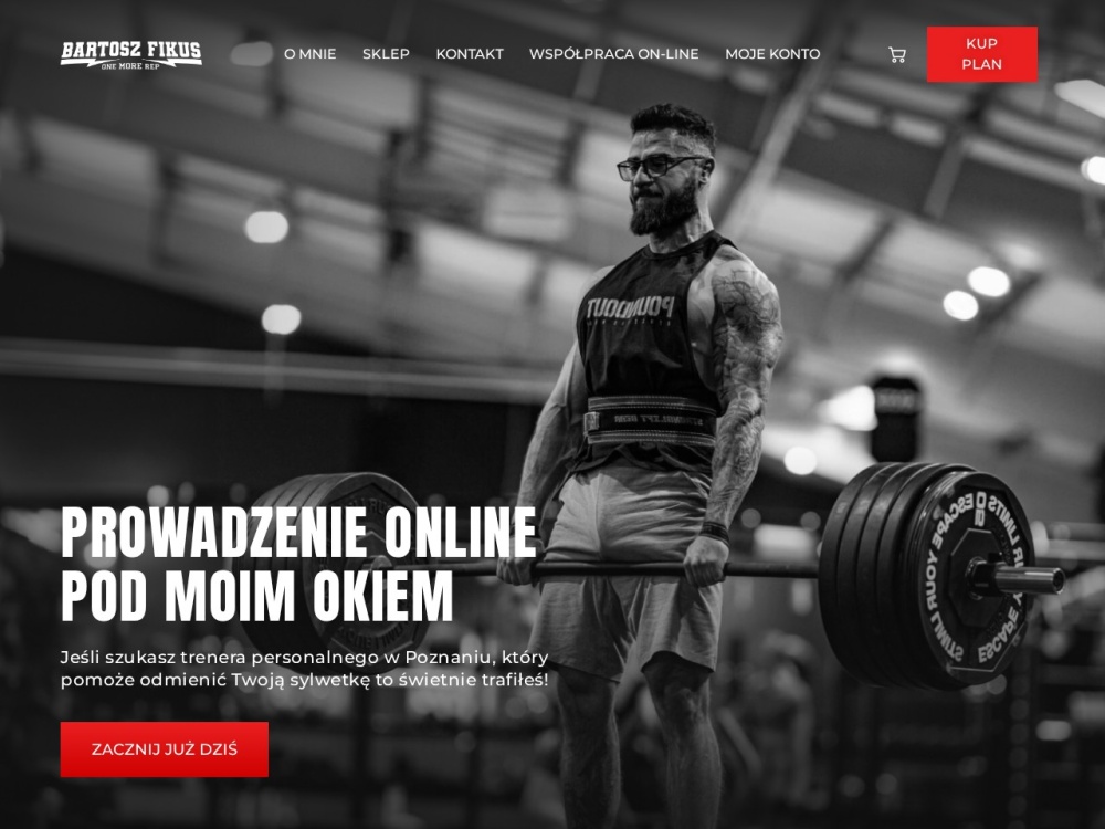 Realizacja strony Bartosz Fikus — Strona osobista