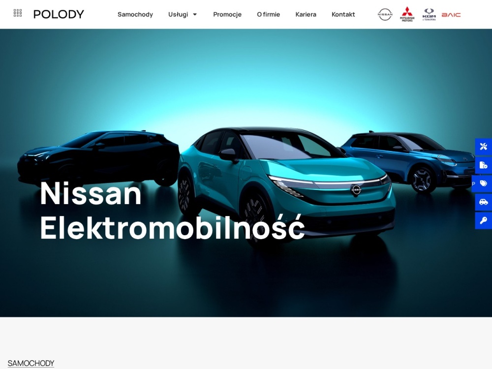 Realizacja strony Polody — Producent / sprzedaż